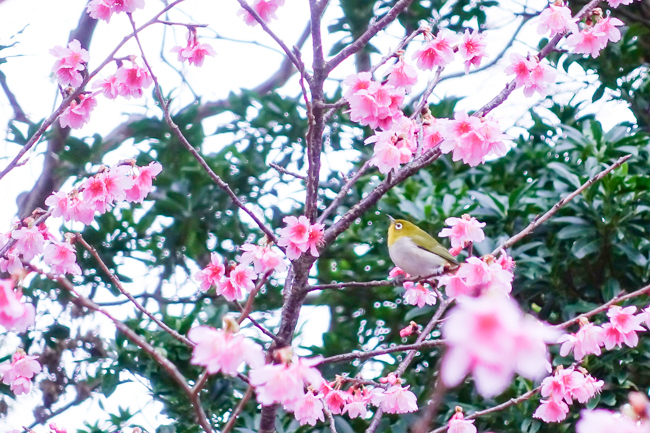 blog-04112.jpg