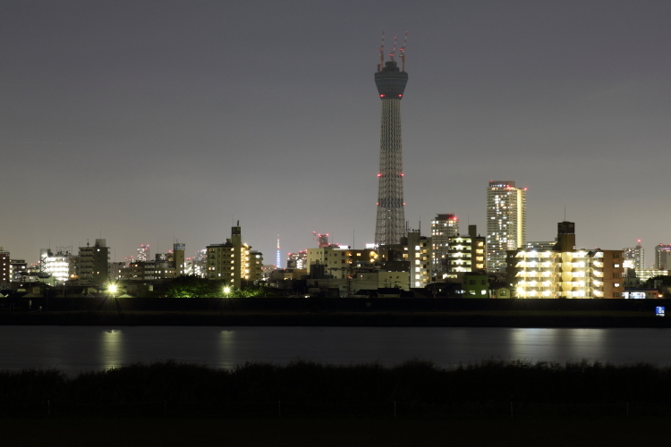 スカイツリーと東京タワー-SSSS