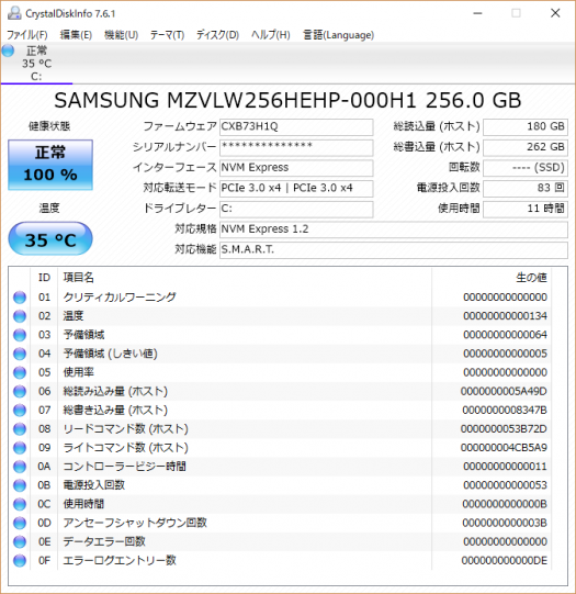 Diskinfo_256GB SSD_01