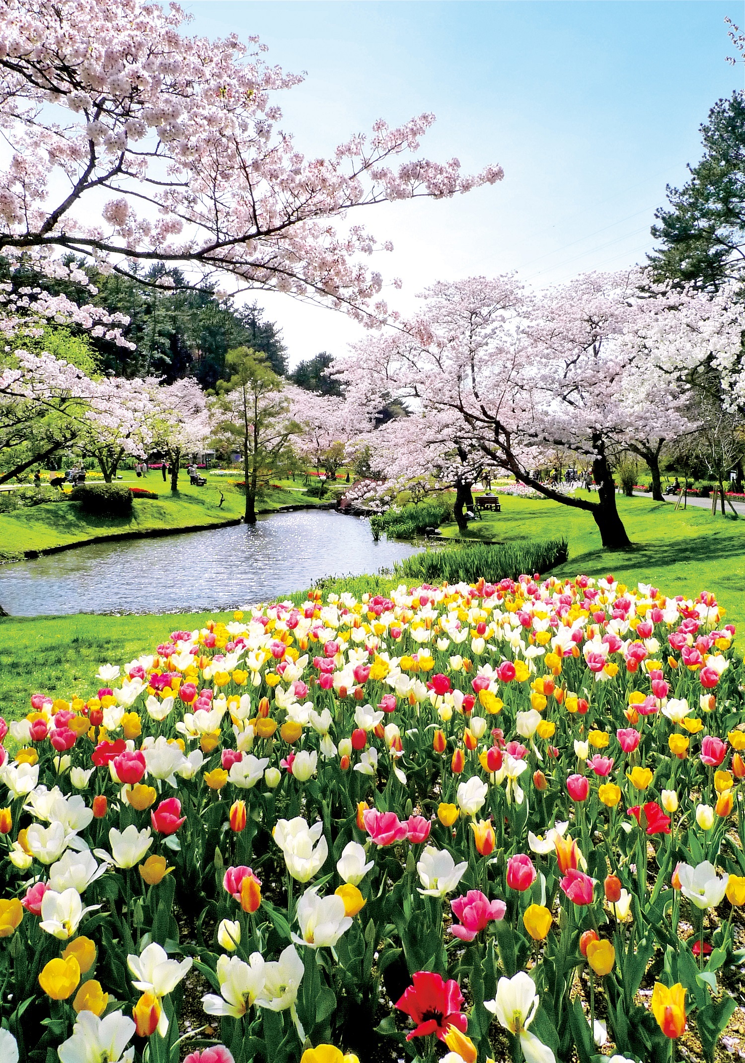 美しい花風景 浜名湖花フェスタ19 スペース２４ 広報ブログ