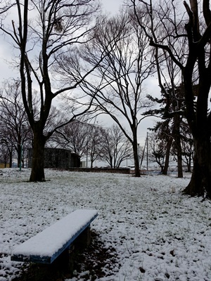 雪の桃山南公園1901