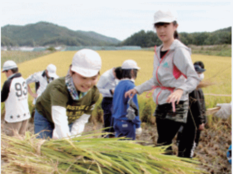 稲刈体験をする飯舘村の子供達
