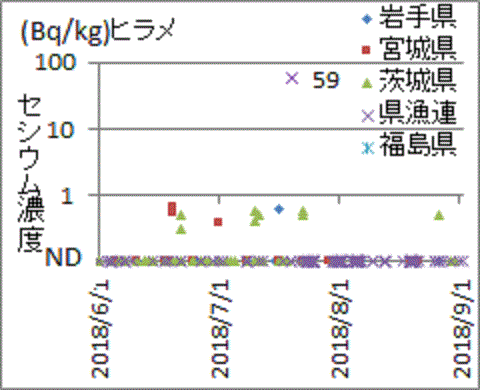 他では見つかっても福島県の検査では見つからないヒラメのセシウム