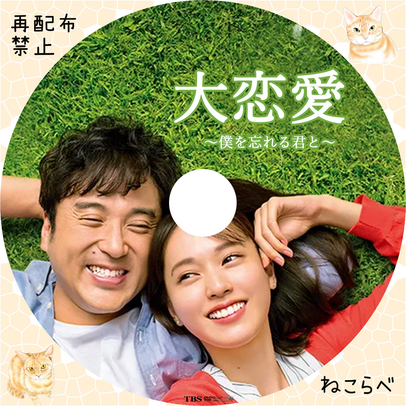 大恋愛 〜僕を忘れる君と〜 Blu-ray | myglobaltax.com