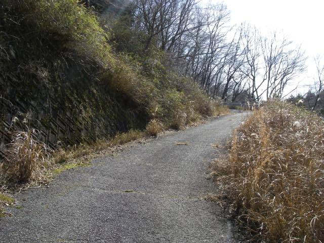 _ms2tkw00042.jpg