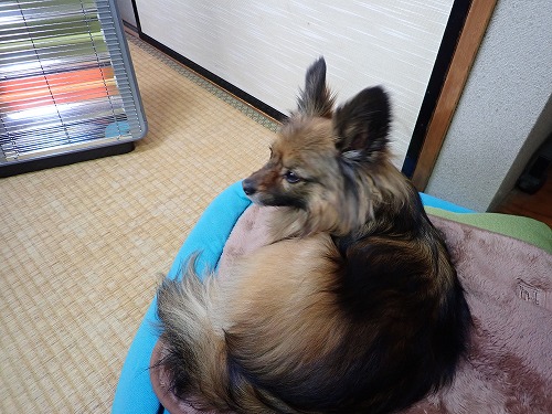 2019年03月05日、11時48分22秒