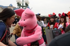 20181016 pig 001