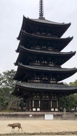 奈良旅行_2019_2_4