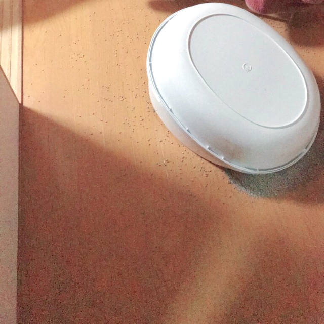 20190108153028d6a.jpeg