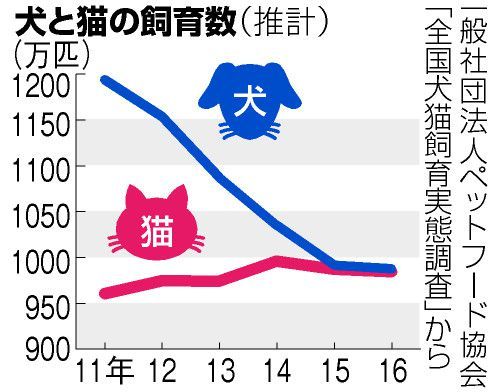 猫と犬の飼育頭数の推移 2011年～2016年