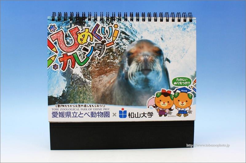 愛媛県立とべ動物園 松山大学 ひめくりカレンダー