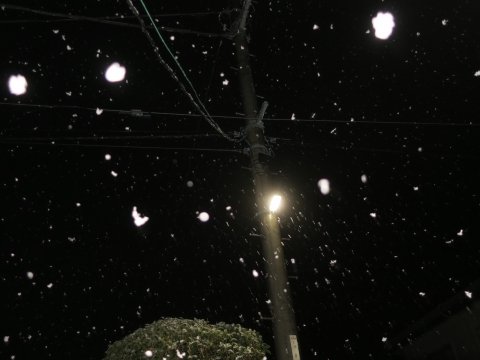 平成31年1月30日「石岡は雪が降って来たね！」