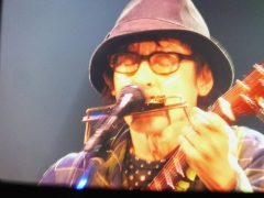 YOOハープ　UP