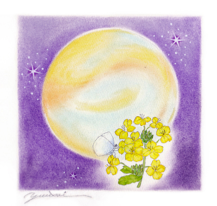月と菜の花と蝶